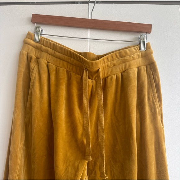 Saturdays Sundays by Anthropologie velour Sweatpants. Excellent condition. - Picture 2 of 5
